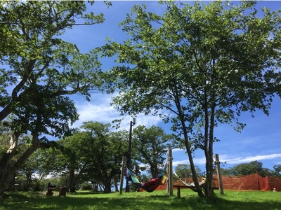 wOrqP4blVBwJbNBEFJNo.jpg?w=940&h=940