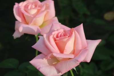 wOwb5fR2rJkbYaaZ0KAC.jpg?w=940&h=940