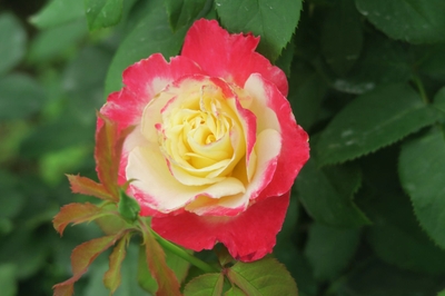 wP94ZOsNM533JBukNsYB.jpeg?w=940&h=940