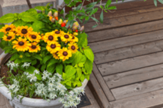 wPI7Ut30geLBbuiSMIhs.png?w=940&h=940