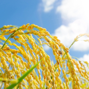 wPITa5wiF5ZNIC3E0Q5w.jpg?w=940&h=940