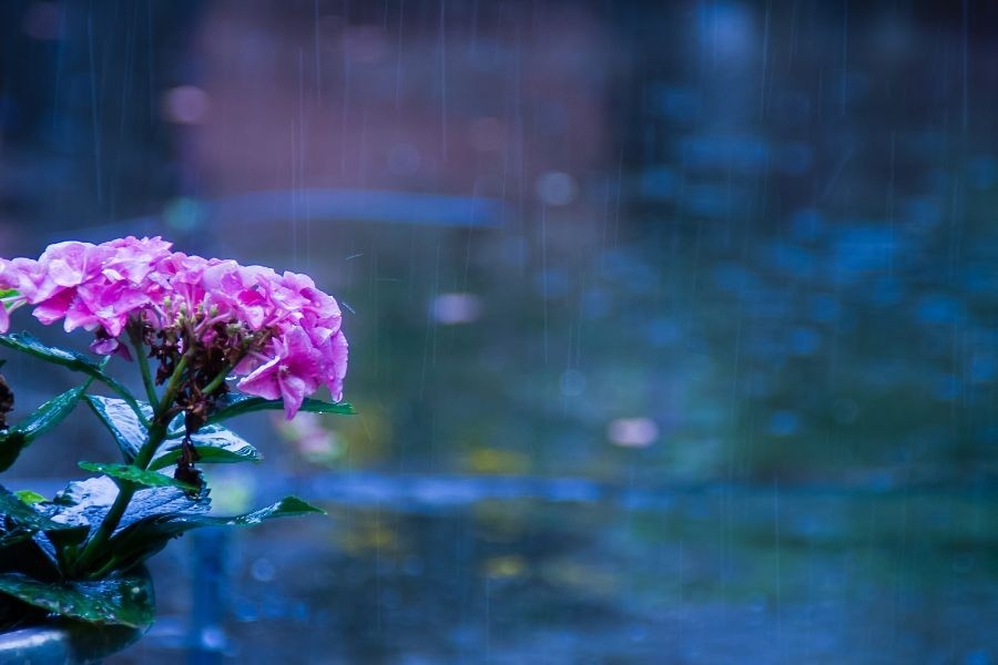 雨の日もホテル館内でゆったりお楽しみいただけます♪