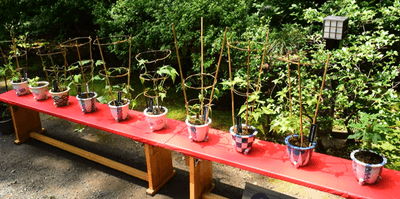 wQq4cUANO54z23uA7Mz5.png?w=940&h=940