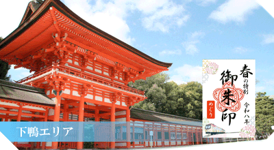 wRgRnCxmdfHBIcz1RupA.gif?w=940&h=940