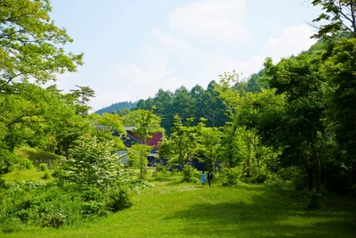 wRiQvS6njtIrcivFn12b.jpg?w=940&h=940