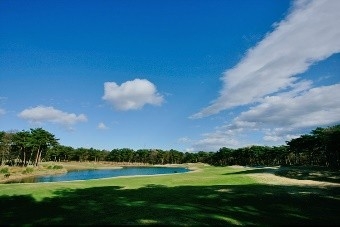 wRq4aLqr6UBbPbCRU0ne.jpeg?w=940&h=940