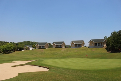 wRzEUe420hsfcmJOFjzg.jpg?w=940&h=940