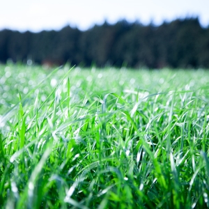 wSGAboFtWCde4tAvPAi0.jpg?w=940&h=940