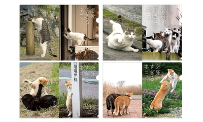 wT2FmsWDwdj710z6XAte.jpg?w=940&h=940