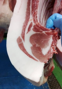 wTRUQsrYXrwbtGp4dvlr.jpg?w=940&h=940