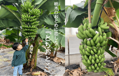 wTaPgNshHkdmogk3cL2u.png?w=940&h=940