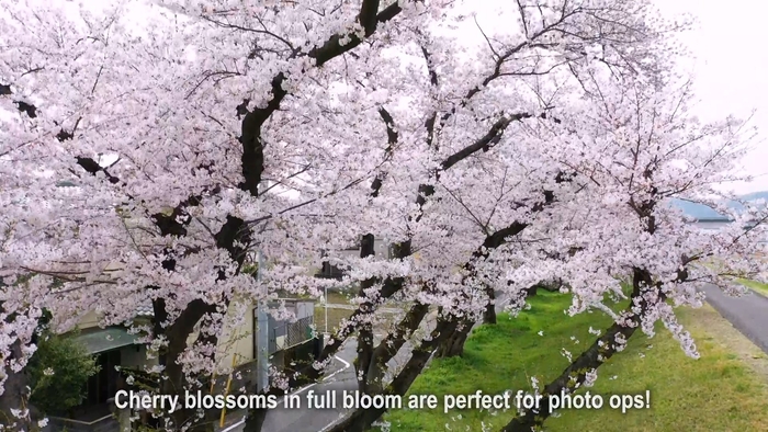 動画のワンシーン 4