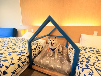 人気のドッグフレンドリールーム