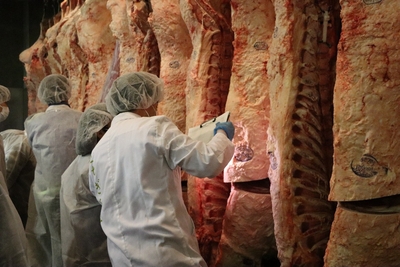 市場内で枝肉を見学する高校生（写真は昨年実施時）