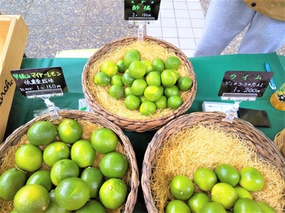 wVScYu24LUgkeOqmxFyo.jpg?w=940&h=940