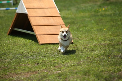 wVbb6hzUlItm6lNamxsn.jpg?w=940&h=940