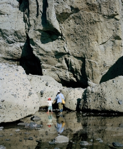 「ひつじの時刻、北風、晴れ」より　 from the series "Hour of the Sheep, North Wind, Sunny" 2018