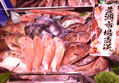 wWX1mwEXkUc8RqUibUPq.png?w=940&h=940