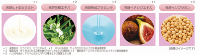 5種類の天然発酵エキスを配合