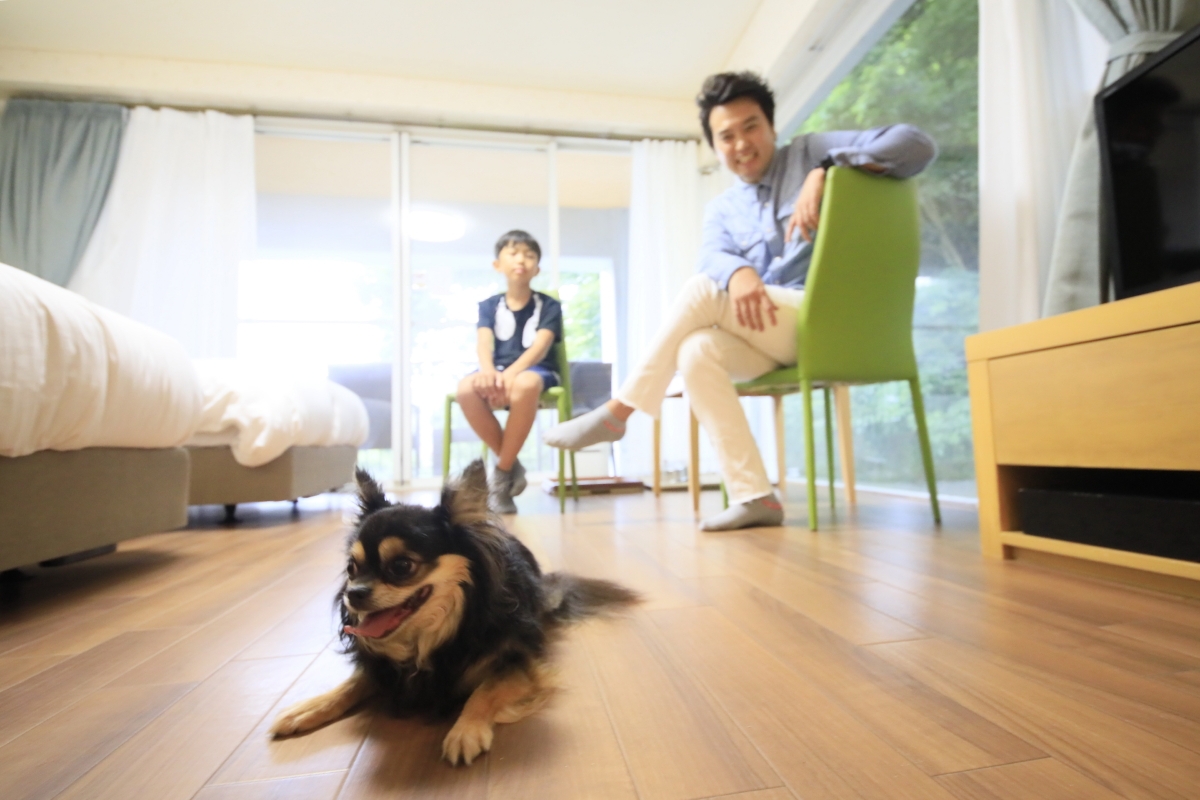 まるでおうちのように寛げる客室(レイセニット城崎スイートVILLA)