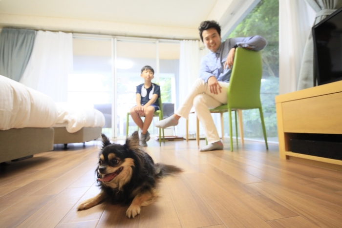 まるでおうちのように寛げる客室(レイセニット城崎スイートVILLA)