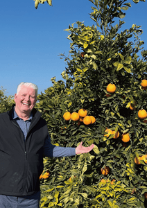 wX2JMkVqnnSNDJugPvWR.png?w=940&h=940