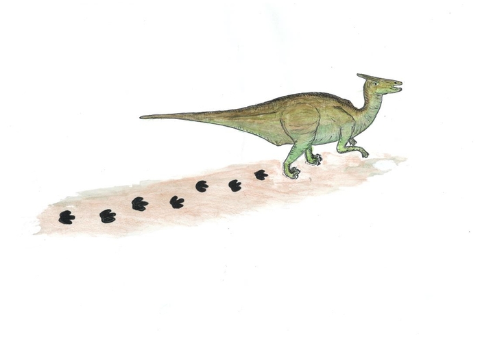 足跡をつけながら歩くサウロロフスの復元図(画:石垣忍)