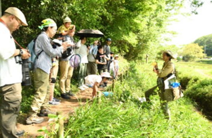 パークレンジャーによる観察会の様子