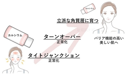 waR6s4eHy1pkshbqNs9X.jpg?w=940&h=940