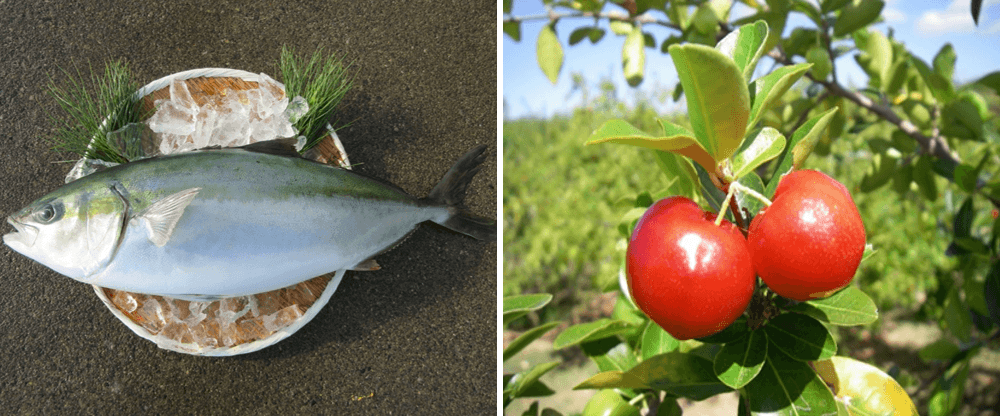 アセロラブリヒラ(左)、アセロラ(右)