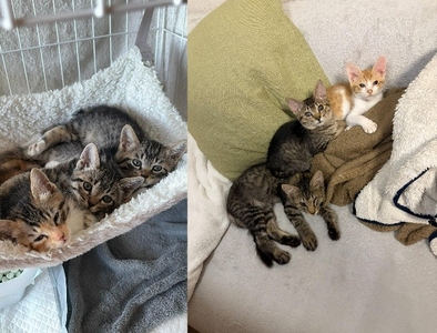 wbYpuMXblUySU9E10m1G.jpeg?w=940&h=940