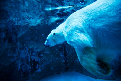 wbbPZqlT5omA7WkOt1RD.jpg?w=940&h=940