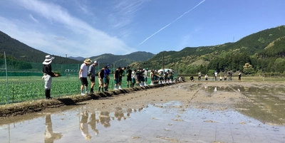 近畿大学附属新宮中学校1年生が熊野川町で田植えを体験　紀伊半島大水害の復興地域で「ふるさと教育」を実施