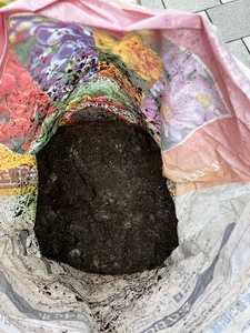 土に仕上がったコーヒーかす堆肥を混ぜる