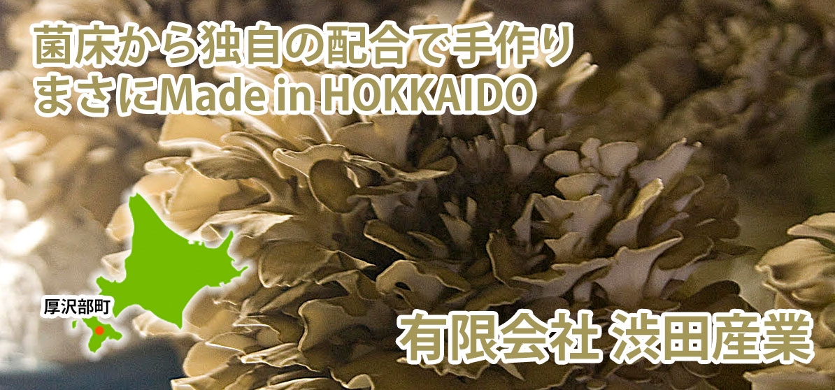 きのこ類の季節到来！“きのこの王様”と呼べるほど抜群に風味豊か、肉厚な傘はシャキシャキ　舞茸づくりにのめりこんだ代表が行き着いた「えぞまいたけ」販売中