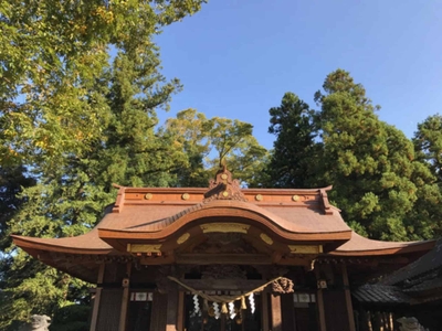 wdaNYy6UHSoFMLjiuXJF.jpg?w=940&h=940