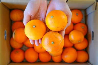 weZoH9OrMy9iVsiAtXvw.jpg?w=940&h=940