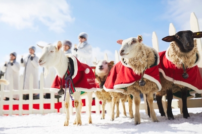 wehBQ9Xo2fVglPieIj0J.jpg?w=940&h=940