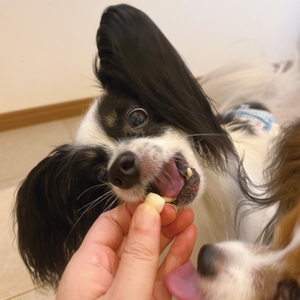 wexNPgmH28GO2voZ7Q8t.jpg?w=940&h=940