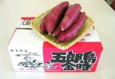 wfPlCJxSt2XQv1vSnepE.jpeg?w=940&h=940