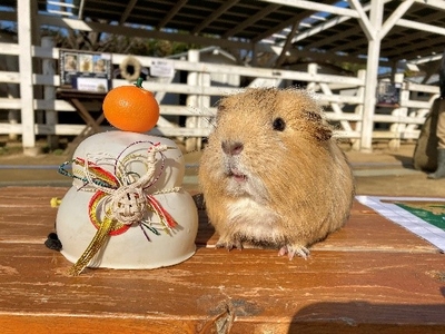 wfS2q7J79GHCMq8hJ6oT.jpg?w=940&h=940