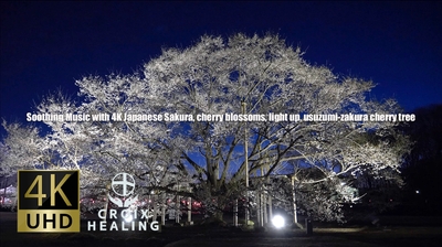 wfn5QhSW0rVKTWDyS2Sv.jpg?w=940&h=940