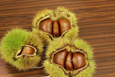 wgVN8kfNyOyeLrDHeY19.JPG?w=940&h=940