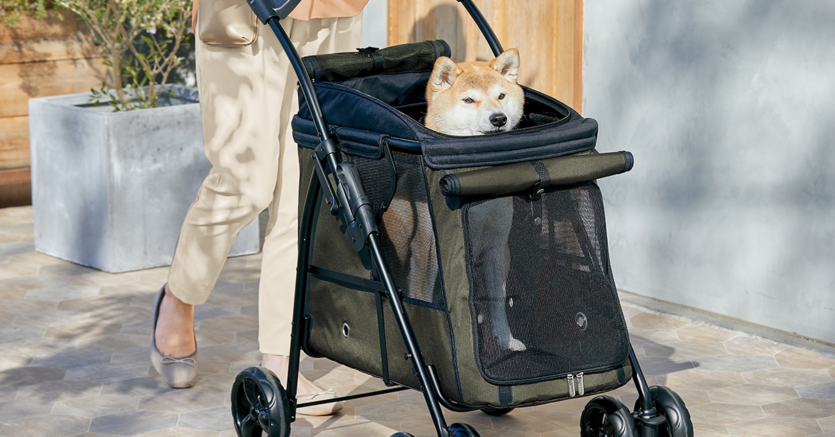 シニア犬ライフ応援・生活の質(QOL)向上！【ジェックス×ペピイコラボ企画】プレゼントキャンペーンスタート