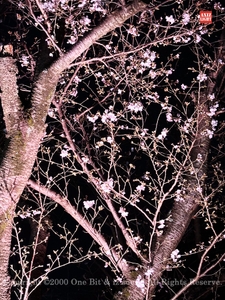 whVs9TXZYqs5ErcqdF1k.jpg?w=940&h=940