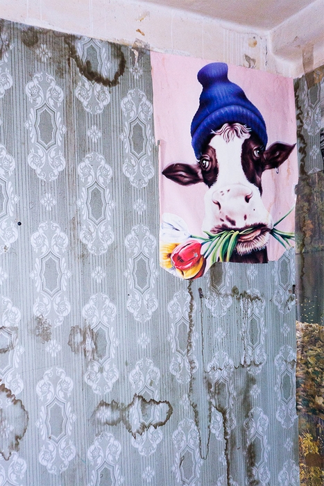 アレクサンドル・エゴロフ(ロシア、1987) 《NN号室〈ビーニー帽をかぶった牛のポスター〉》 2016 (C)Alexander Yegorov