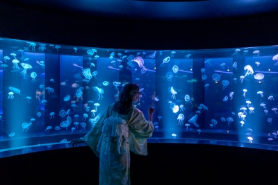 wjYAjYL1Ct31Wz83868H.jpg?w=940&h=940