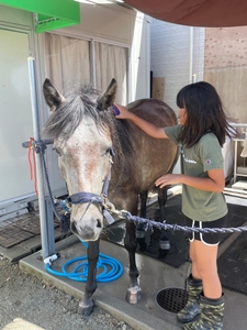 ブラッシングも行います