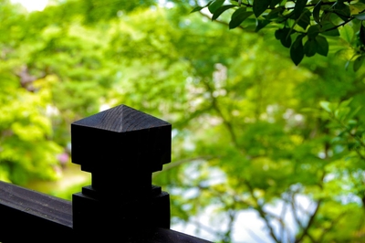 wk5Sko1oMhuf5x6sPY0n.jpg?w=940&h=940