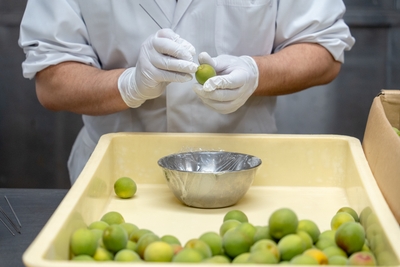 wkY5HFVYW68UI2ZRB8Fu.jpg?w=940&h=940